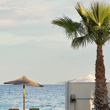 Дом отдыха Relaxing Beachfront Private Heated Pool 2